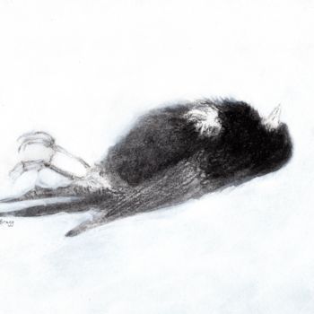 Рисунок под названием "Vulnerability and D…" - Janel Bragg, Подлинное произведение искусства, Древесный уголь