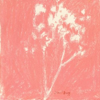 Drawing titled "Baby's Breath in Sh…" by Janel Bragg, Original Artwork, Pastel