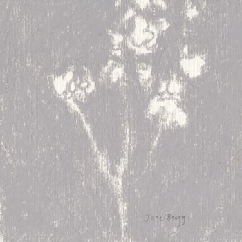 Painting titled "Baby's Breath in Do…" by Janel Bragg, Original Artwork, Pastel