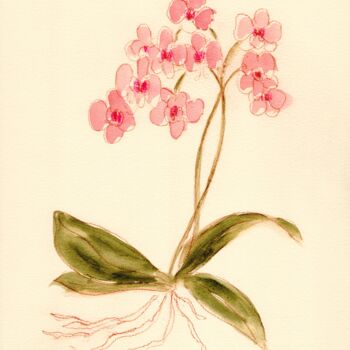 Schilderij getiteld "Orchid from Susann'…" door Janel Bragg, Origineel Kunstwerk, Aquarel