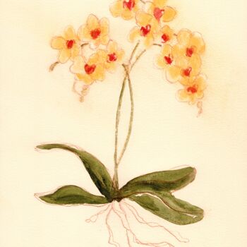 Pintura intitulada "Orchid from Susann'…" por Janel Bragg, Obras de arte originais, Aquarela