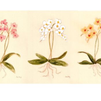 绘画 标题为“Orchid from Susann'…” 由Janel Bragg, 原创艺术品, 水彩