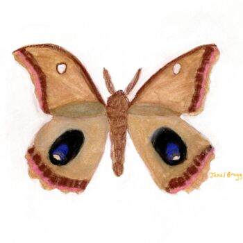Peinture intitulée "Moth Endearment II" par Janel Bragg, Œuvre d'art originale, Aquarelle