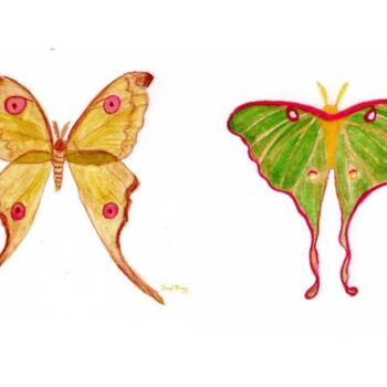 "Moth Endearment Pai…" başlıklı Tablo Janel Bragg tarafından, Orijinal sanat, Suluboya