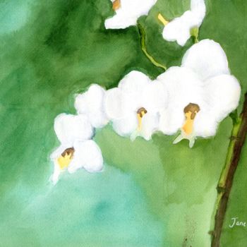 Schilderij getiteld "My Little Orchid in…" door Janel Bragg, Origineel Kunstwerk, Aquarel