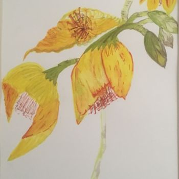 Painting titled "Kerria Japonica- Go…" by Janice Galloway, Original Artwork, Watercolor