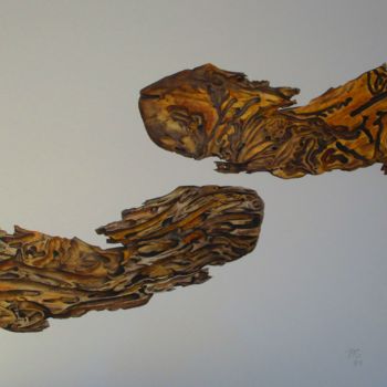 Peinture intitulée "Bois taraudés - aqu…" par Janine Gabet-Tissier, Œuvre d'art originale, Aquarelle