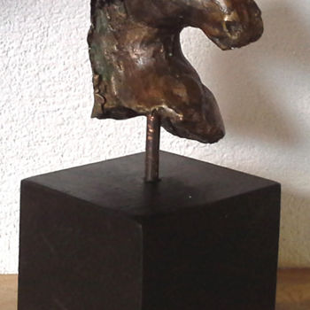 Sculpture intitulée "criniere-au-vent.jpg" par Janine Le Cann, Œuvre d'art originale, Métaux