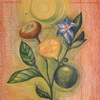 Pintura intitulada "Citrus" por Mgr. Janka Anděl Šustrová, Obras de arte originais, Pastel