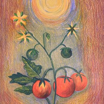 Peinture intitulée "Tomatoes" par Mgr. Janka Anděl Šustrová, Œuvre d'art originale, Pastel