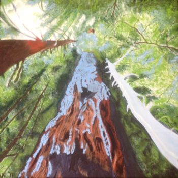 Painting titled "Old Growth Douglas…" by Jan Wall, Original Artwork, Ink
