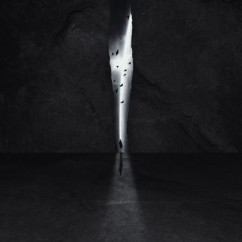 Digital Arts titled "LAST LIGHT I" by Jaqueline Vanek, Original Artwork, Photo Montage