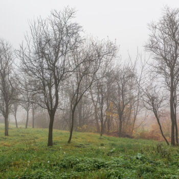 Photography titled "Following the Fog 6" by Jarek Rufer, Original Artwork, Digital Photography
