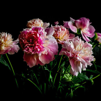 Fotografie mit dem Titel "Blooming Paeonies 2" von Jarek Rufer, Original-Kunstwerk, Digitale Fotografie