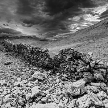 Photographie intitulée "Back to the Sources" par Jarek Rufer, Œuvre d'art originale, Photographie numérique