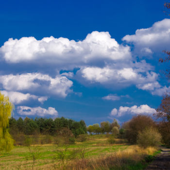 Fotografia zatytułowany „Le printemps” autorstwa Jarek Witkowski, Oryginalna praca