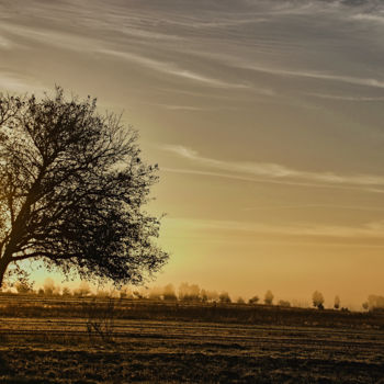 Fotografia intitolato "le matin d'automne" da Jarek Witkowski, Opera d'arte originale