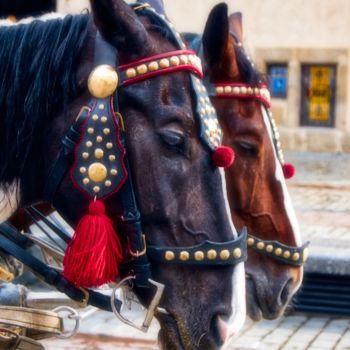 Fotografie getiteld "chevaux se noyant /…" door Jarek Witkowski, Origineel Kunstwerk