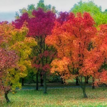 Fotografia intitulada "couleurs d'automne…" por Jarek Witkowski, Obras de arte originais