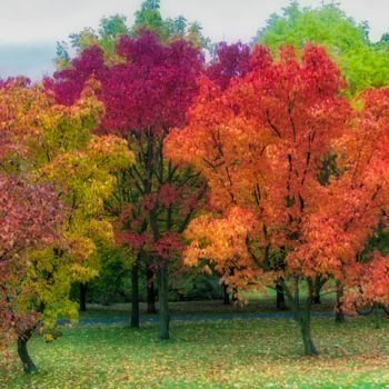 Fotografia zatytułowany „couleurs d'automne…” autorstwa Jarek Witkowski, Oryginalna praca