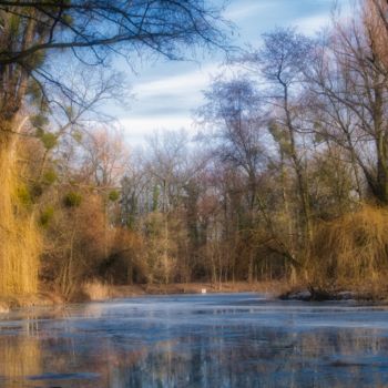 Fotografie getiteld "fin d'hiver / end o…" door Jarek Witkowski, Origineel Kunstwerk