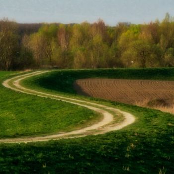Photography titled "chemin / path" by Jarek Witkowski, Original Artwork