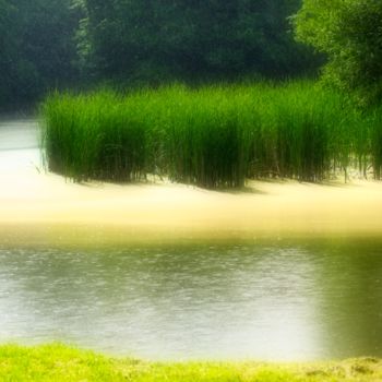 Photographie intitulée "étang ensoleillé /s…" par Jarek Witkowski, Œuvre d'art originale
