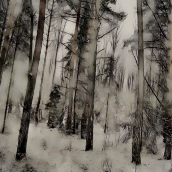 Fotografia zatytułowany „Hiver dans la forêt…” autorstwa Jarek Witkowski, Oryginalna praca