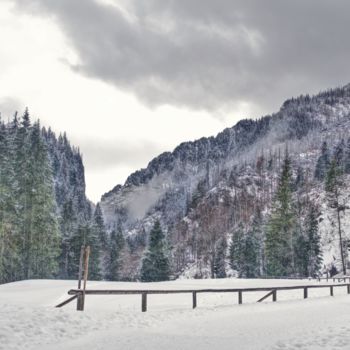 Photographie intitulée "promenade d'hiver d…" par Jarek Witkowski, Œuvre d'art originale