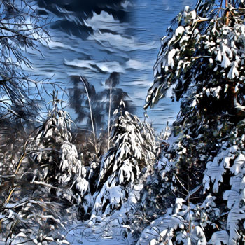 Fotografia intitolato "forêt dans la neige" da Jarek Witkowski, Opera d'arte originale