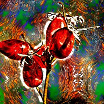 Arte digital titulada "fruit rose sauvage" por Jarek Witkowski, Obra de arte original