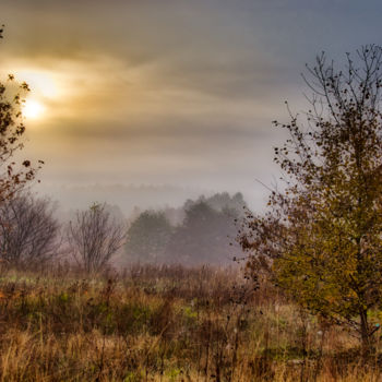 Photography titled "prairie d'automne d…" by Jarek Witkowski, Original Artwork