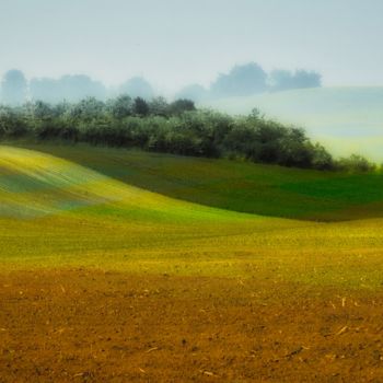 Photographie intitulée "champ arc-en-ciel" par Jarek Witkowski, Œuvre d'art originale