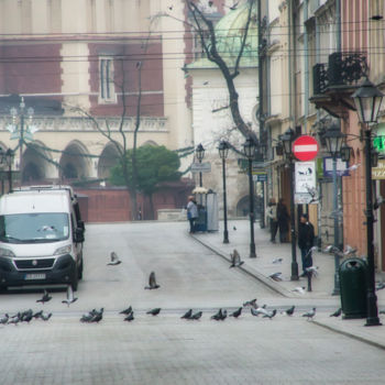 Photography titled "où pigeons marchant…" by Jarek Witkowski, Original Artwork