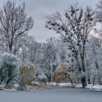 Photography titled "étang d'hiver dans…" by Jarek Witkowski, Original Artwork