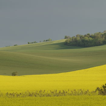 Fotografía titulada "champs de printemps…" por Jarek Witkowski, Obra de arte original