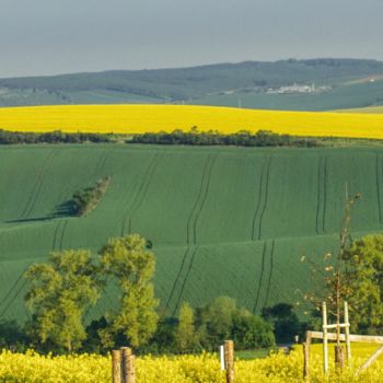 Fotografía titulada "panorama de printem…" por Jarek Witkowski, Obra de arte original