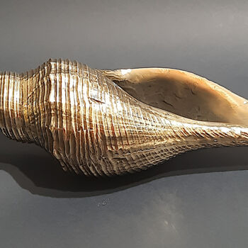 "Golden Shell" başlıklı Heykel Jaromir Gargulak tarafından, Orijinal sanat, Bronz