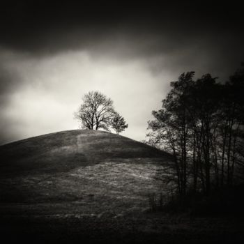 "Tobias hill" başlıklı Fotoğraf Jaromir Hron tarafından, Orijinal sanat