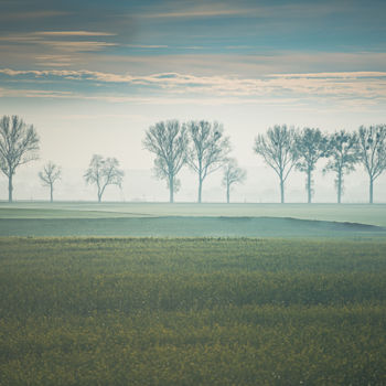 摄影 标题为“November morning (1)” 由Jarek Sieczkowski, 原创艺术品, 光绘摄影