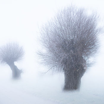 Fotografia intitolato "Foggy day" da Jarek Sieczkowski, Opera d'arte originale, Fotografia digitale