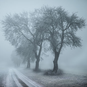 Fotografie getiteld "Fog at noon" door Jarek Sieczkowski, Origineel Kunstwerk, Digitale fotografie