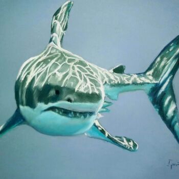 Dessin intitulée "Tiburón" par Javier Ipiña, Œuvre d'art originale, Pastel