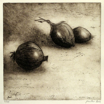 Printmaking titled "Onions" by Jonathan Beck, Original Artwork, Etching
