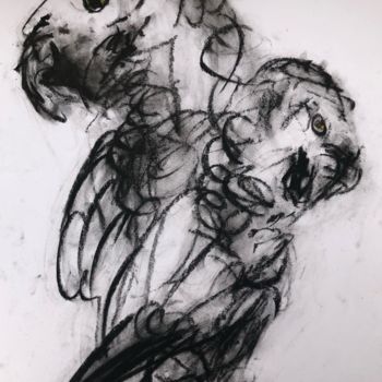 Desenho intitulada "Perroquets gris du…" por Jc Desmerges, Obras de arte originais, Carvão
