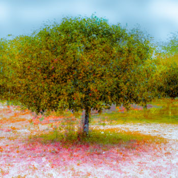 Photographie intitulée "Pommier en fleurs" par Jean-Christophe Mandelli, Œuvre d'art originale, Photographie manipulée