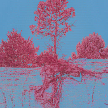 Photographie intitulée "Arbre dénudé" par Jean-Christophe Mandelli, Œuvre d'art originale, Photographie manipulée