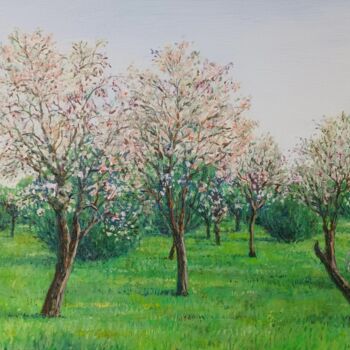 Pittura intitolato "Almond trees near C…" da José A Cavaco, Opera d'arte originale, Olio