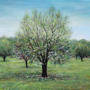 Schilderij getiteld "almond tree-26216.j…" door José A Cavaco, Origineel Kunstwerk, Olie