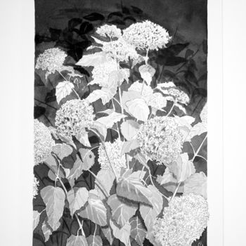 Drawing titled "Hortensias-1" by Jean-Christophe Sylvos, Original Artwork, Ink Mounted on Cardboard